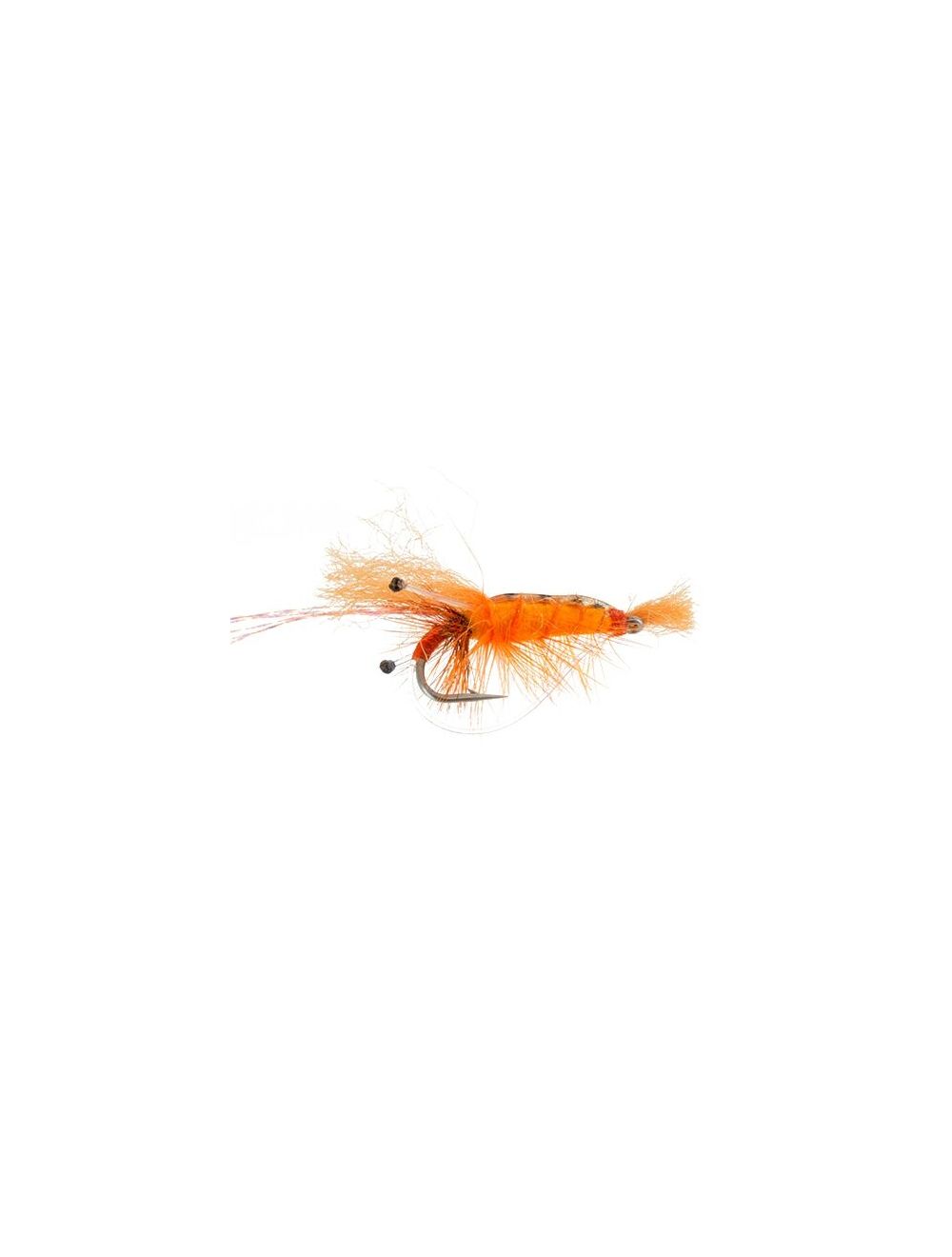 Bonefish Ceviche Shrimp, Orange
