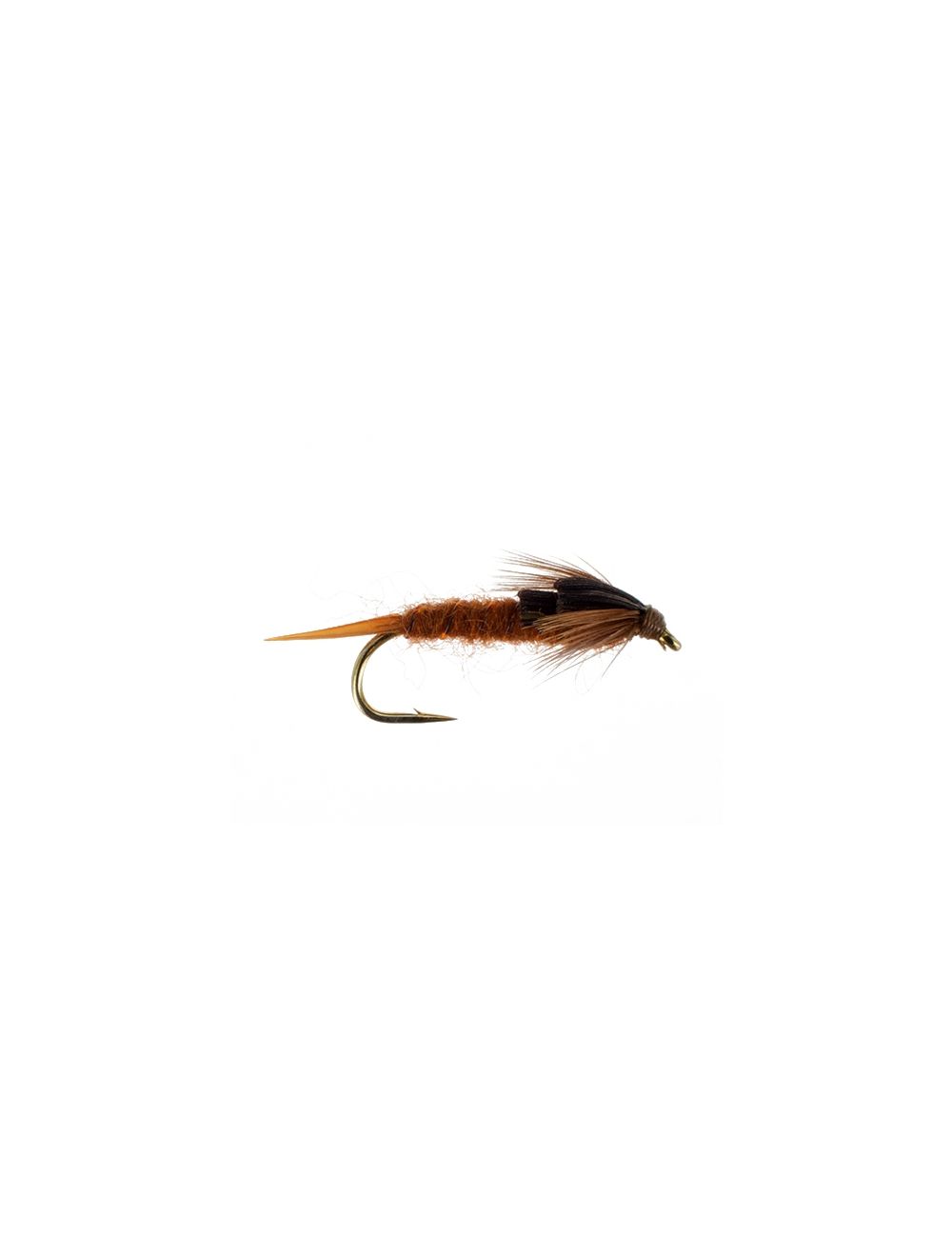 Early Brown Stonefly