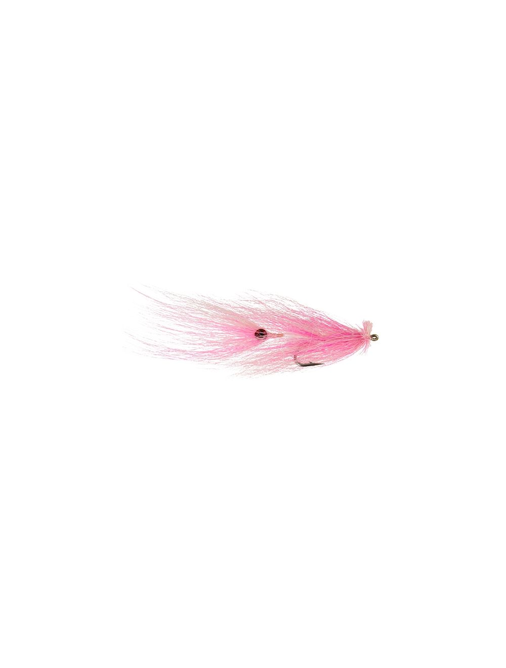 Squid, Pink