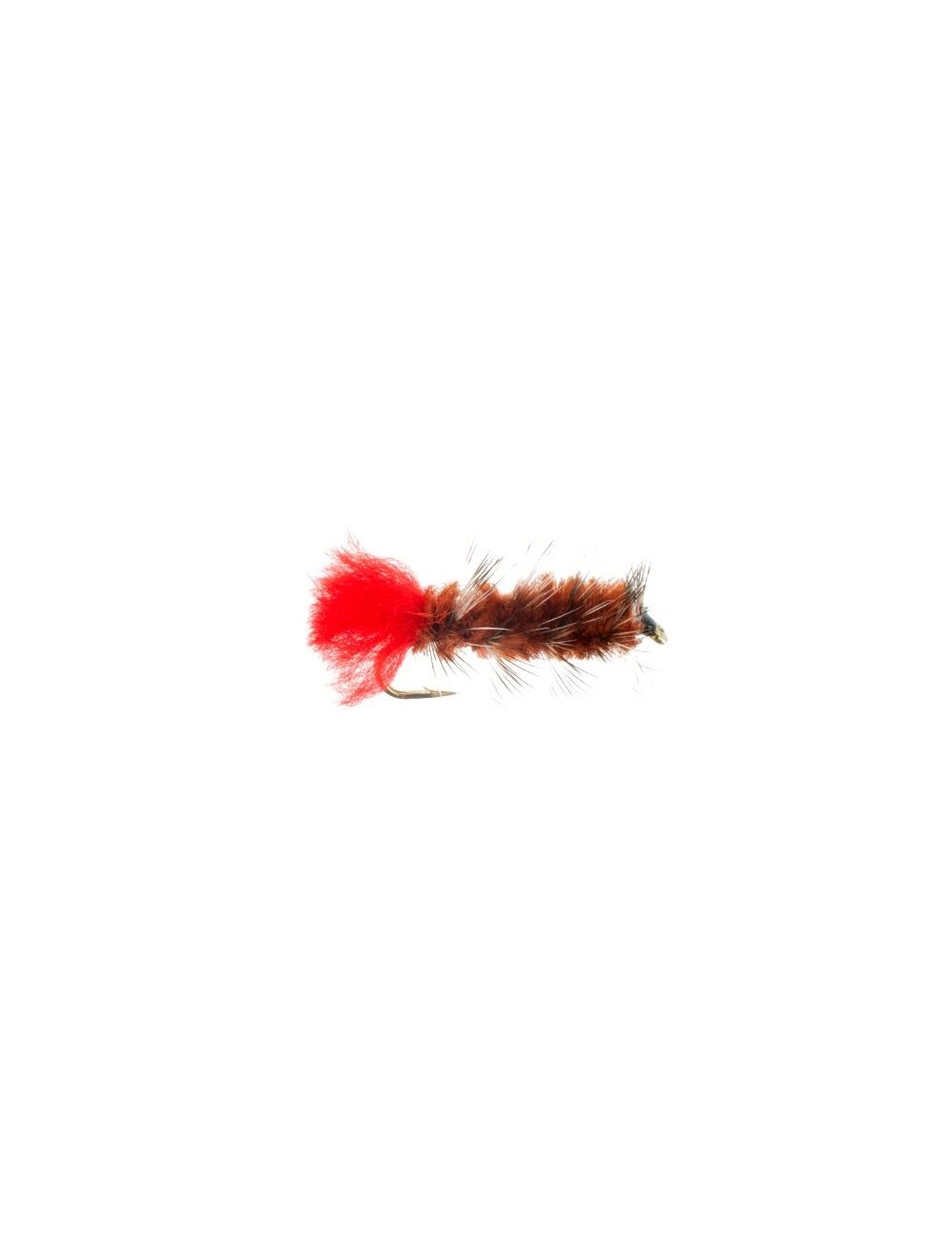 Woolly Worm, Brown