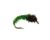 Caddis Larva, Green