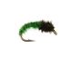 Caddis Larva, Green
