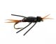 Copper Stonefly, Brown