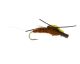 Floating Stonefly, Brown