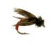 PM Caddis Rust, Fly Fishing Flies, Nymphs. Discount flies at theflystop.com. High Resolution.