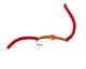 Protein Worm, Gold Red