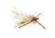 Rubberleg Sparkle Stimulator Yellow and Orange, Fly Fishing Flies, Dry Flies. Discount flies at theflystop.com. Small Image.