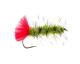 Woolly Worm, Olive Carp