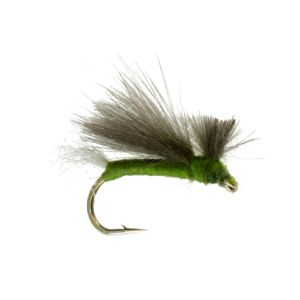 24 Realistic Caddis Dry Fly Fishing Assortment for Trout Fishing | Fly  Size: #10, #12, #14, #16