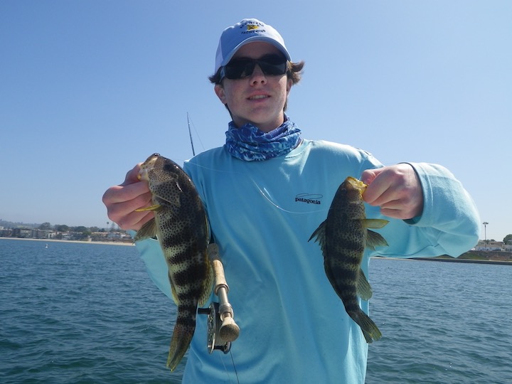 Mission-Bay-Fly-Fishing-Bay-Bass
